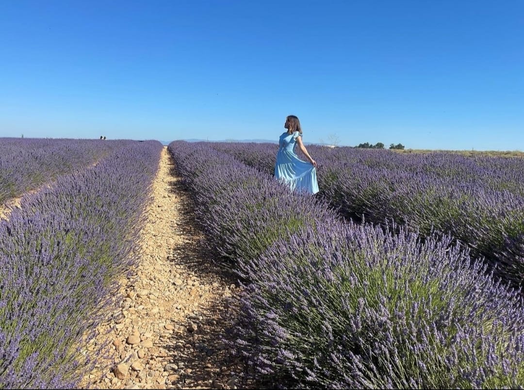 Provence countryside